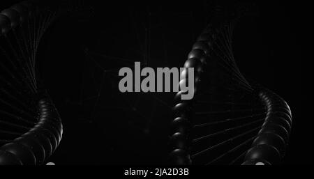 Abbildung des Makros der schwarzen 3D dna-Strangspinnerei Stockfoto