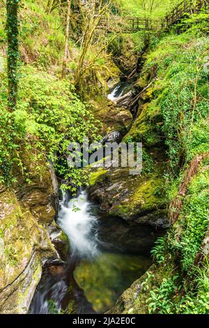 Lydford Gorge, Dartmoor Park, Okehampton, Devon, England Stockfoto