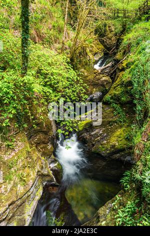 Lydford Gorge, Dartmoor Park, Okehampton, Devon, England Stockfoto