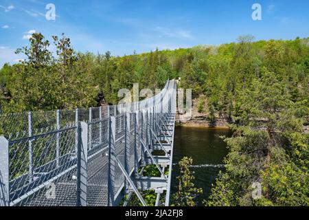 Eine atemberaubende Aussicht von der Seite der 300 Fuß langen Hängebrücke der Ranney Gorge, die den Trent River über den Wald auf der anderen Seite spannt. Stockfoto