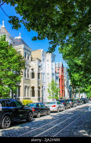 Von Bäumen gesäumte Straße im historischen Stadtteil Georgetown in Washington, District of Columbia. Stockfoto