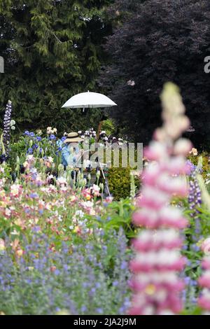 Ein Künstler, der in einem schönen Garten unter einem Sonnenschirm sitzt und zeichnet. Stockfoto
