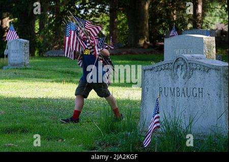 Dallas, Usa. 25.. Mai 2022. Ein Kub Scout trägt Flaggen, die vom Friedhof zurückgezogen werden, nachdem sie durch neue Flaggen ersetzt wurden. Mitglieder der American Legion, Boy Scouts und Girl Scouts haben in Vorbereitung auf den Memorial Day-Feiertag zerfetzte Flaggen auf Friedhofs ersetzt. Kredit: SOPA Images Limited/Alamy Live Nachrichten Stockfoto