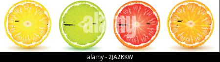 Zitrusfrüchte Scheiben realistische Nahaufnahme mit Zitronenlime Grapefruit orange Schatten Reflexion auf weißem Vektor-Illustration gesetzt Stock Vektor