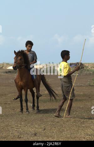 Ein Kind, das während der Trockenzeit auf einem Pony auf einem Küstengrasland in Tosi, Pero Batang, Kodi, Southwest Sumba, East Nusa Tenggara, Indonesien. Stockfoto