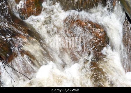 Wildwasser-Chaos am Murrundindi River im Toolangi State Forest in Victoria, Australien. Die Murrundindi-Kaskaden waren in voller Flut. Stockfoto