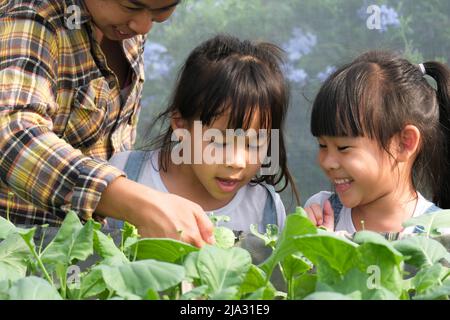 Junge Mutter im Strohhut, die ihre Töchter im Garten unterrichtete. Das kleine Mädchen hilft ihrer Mutter im Garten, einer kleinen Gärtnerin. Nettes Mädchen Pflanzen Stockfoto