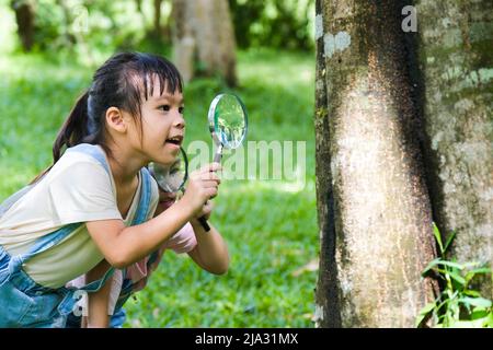 Kinder lernen und erkunden die Natur mit einer Vergrößerungsglas im Freien. Neugieriges Kind schaut durch eine Lupe auf die Bäume im Park. Zwei Litt Stockfoto