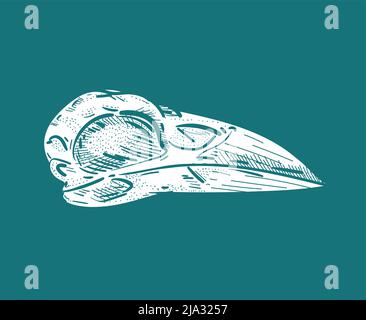 Rabe Skull isoliert. Skelett des Raven-Kopfes. Vektorgrafik Stock Vektor