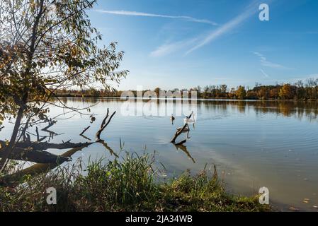 Teich mit bunten Bäumen im Hintergrund und blauem Himmel in der Nähe der Stadt Ostrava in CHKO Poodri in Tschechien während eines schönen Herbsttages Stockfoto