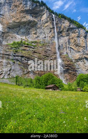 Staubbachfall, Lauterbrunnen, Kanton Bern, Schweiz Stockfoto