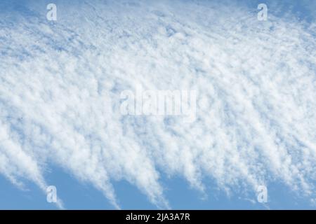 Weiße Cirrus Wolken gegen den blauen Himmel. Interessanter Hintergrund von verschwommenen Wolken. Stockfoto