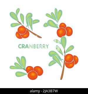 Cranberry Set Ast mit Beeren und Blättern, Schriftzug, Doodle farbig, gesundes Essen, eco, Vegan. Isolierter, weißer Hintergrund. . Vektorgrafik Stock Vektor