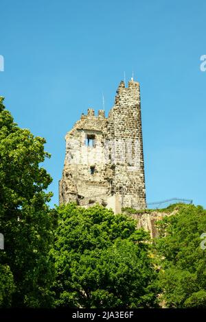 Blick auf den Felsen von Drachenfels in der Nähe der Stadt Königswinter in Deutschland Stockfoto