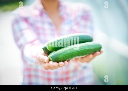 Bild einer jungen Gärtnerin mit Gurke Stockfoto