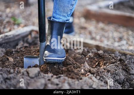 Junge glückliche Frau mit Gartengeräten arbeiten Stockfoto