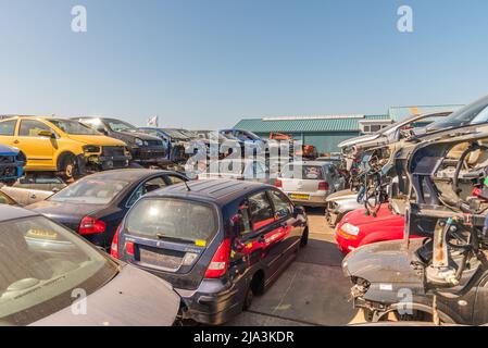 Den Helder, Niederlande, Mai 2022. Alte Fahrzeuge auf einem Schrottplatz gestapelt. Hochwertige Fotos Stockfoto