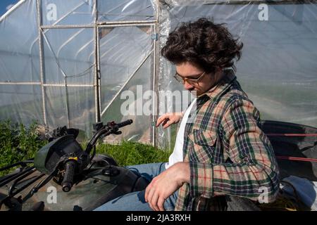 Junger kaukasischer Bauer in einem Flanellhemd auf einem Geländewagen, der neben einem Gewächshaus mit Bio-Gemüsegarten in natürlichem Gold nachdenkt Stockfoto