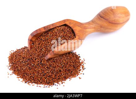 Canihua Körner isoliert auf weißem Hintergrund. Haufen Qaniwa in olivfarbenem Schaufel. Trockene Körner von chenopodium pallidicaule Stockfoto