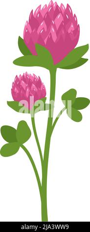 Kleeblatt mit rosa Blütenblättern und grünen Kleeblättern. Symbol für Glück, Wiese wilde Blume reich an Vitaminen. Sommerpflanze. Vektorgrafik flach Stock Vektor