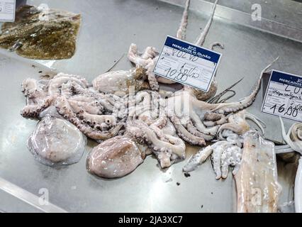 OLHAO, Algarve, Portugal : Octopus zum Verkauf auf einem Fischmarkt Stockfoto