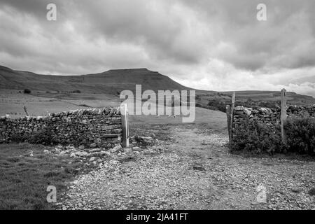 Blick zurück auf Ingleborough, einen der Yorkshire Three Peaks. Aufgenommen während des Spazierens auf dem Dales High Way. Stockfoto