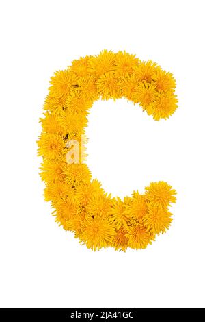 Das englische Alphabet der Dandelionblüten ist auf einem weißen Hintergrund isoliert. Buchstabe C Stockfoto