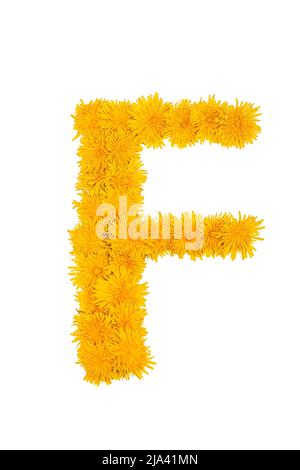 Das englische Alphabet der Dandelion-Blüten. Buchstabe F Stockfoto