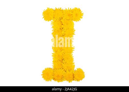 Das englische Alphabet der Dandelion-Blüten. Buchstabe I Stockfoto