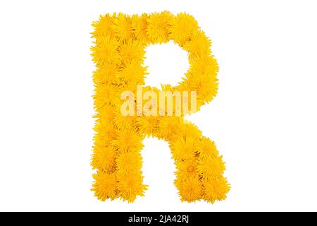 Das englische Alphabet der Dandelion-Blüten. Buchstabe R Stockfoto