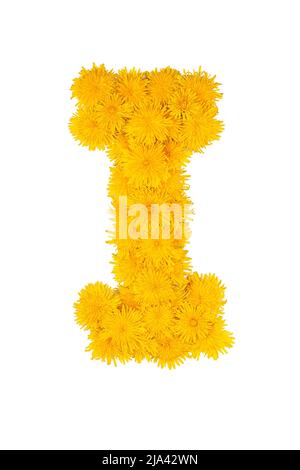 Das englische Alphabet der Dandelion-Blüten. Buchstabe I Stockfoto