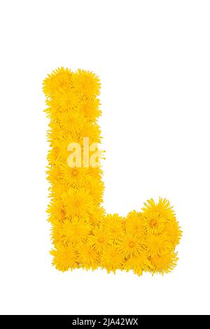 Das englische Alphabet der Dandelion-Blüten. Buchstabe L Stockfoto