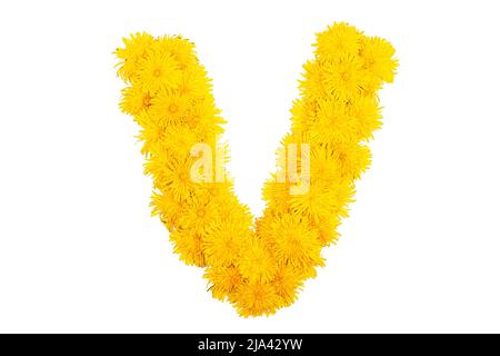 Das englische Alphabet der Dandelion-Blüten. Buchstabe V Stockfoto