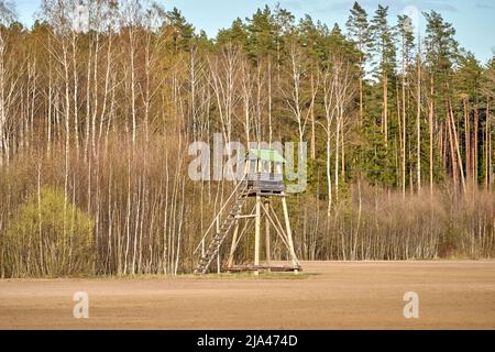 Alte hölzerne Jägerturm auf dem Feld, in der Nähe des Waldes und der Wiese. Stockfoto