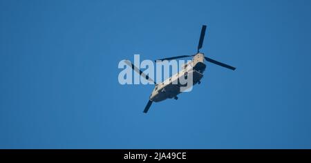 Big chinook Militärhubschrauber fliegen Stockfoto