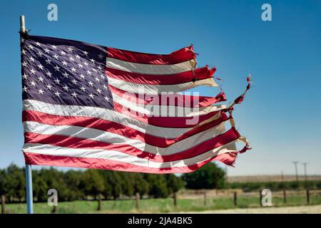 Eine zerfetzte amerikanische Flagge weht im Wind auf einem Feld in der Nähe des ländlichen Fabens, Texas, östlich von El Paso. Stockfoto
