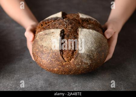 Laib frisch gebackenes Brot mit Hanfmehl in den Händen. Handwerkliches Brot mit Samen auf grauem Hintergrund. Stockfoto