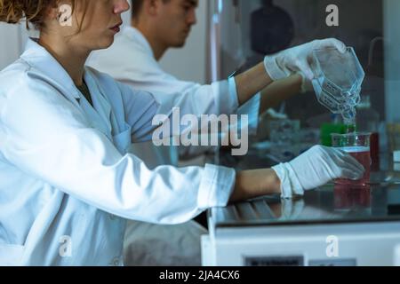 Junge Forscher arbeiten mit Handschuhen im Strömungsschrank, Zellkulturen, Impfstoffen. Sterile Bedingungen Stockfoto