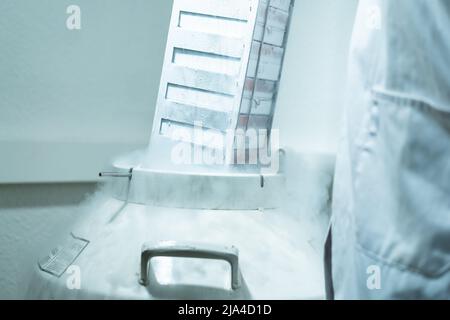 Rack mit Zellen in einem kryogenen Flüssigstickstoff-Tank im Life Sciences-Labor. Professionelle Manipulation im Labormantel Stockfoto