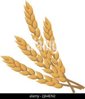 Ähren aus goldenem Weizen isoliert auf Weiß - Vektorgrafik Stock Vektor