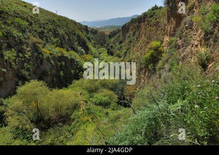 Hügel mit viel Grün in der Nähe des HaTanur-Wasserfalls bewachsen. Ayun-Fluss in Galilee, Nord-Israel Stockfoto