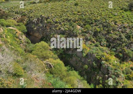 Hügel mit viel Grün in der Nähe des HaTanur-Wasserfalls bewachsen. Ayun-Fluss in Galilee, Nord-Israel Stockfoto