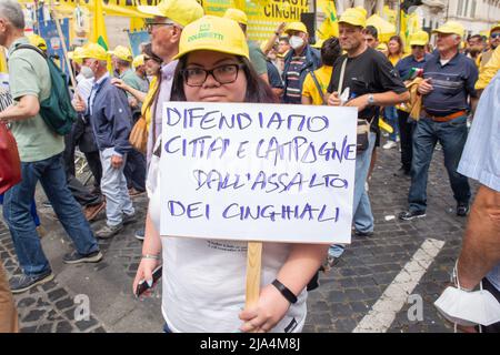 Rom, Italien. 27.. Mai 2022. Demonstration in Rom, organisiert von Coldiretti, um einen nationalen Notstand wegen der Ausbreitung der Schweinepest und der Invasion von Wildschweinen anzuprangern, die Schweinehalden in Italien in Gefahr bringen (Foto von Matteo Nardone/Pacific Press/Sipa USA) Quelle: SIPA USA/Alamy Live News Stockfoto