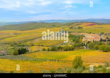 Toskana Weingut, ein Weindorf Radda in Chianti in Italien. Panoramablick auf die terrassenförmig angelegten Weinberge, die Chianti-Weinberge am Schloss brolio Stockfoto