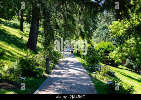 Pfad. Feldweg neben der Vegetation von grünen Pflanzen und Bäumen im Frühjahr im Park von Madrid an einem klaren Tag und mit einem blauen Himmel, in Spanien. Stockfoto