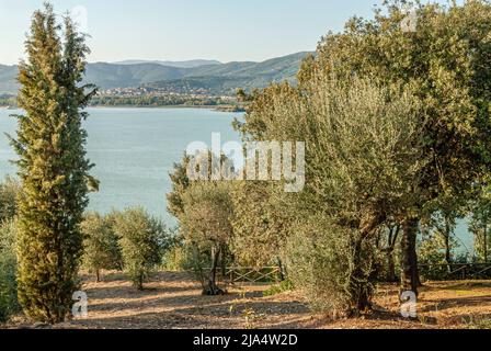 Panoramablick von der Kirche San Michele Arcangelo auf der Isola Maggiore über den Lago Trasimeno, Umbrien, Italien Stockfoto