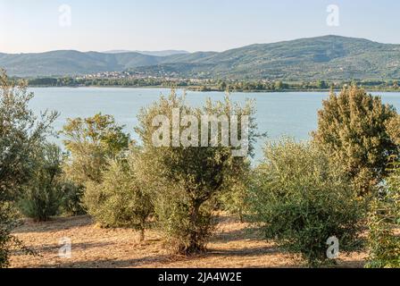 Panoramablick von der Kirche San Michele Arcangelo auf der Isola Maggiore über den Lago Trasimeno, Umbrien, Italien Stockfoto