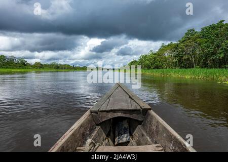 Amazon Rainforest Riverbank. Segeln Sie den Fluss Yanayacu entlang im Amazonasdschungel, in der Nähe von Iquitos, Peru. Südamerika. Stockfoto