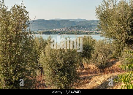 Panoramablick von der Kirche San Michele Arcangelo auf der Isola Maggiore über den Lago Trasimeno, Umbrien, Italien Stockfoto