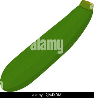 Grüne Zucchini isoliert auf weißem Hintergrund, flaches Design Vektor-Illustration Stock Vektor